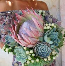 King Protea Succulents Protea Flower Round Wedding Tables Blue Flower Wallpaper