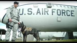 u s air force career detail security forces