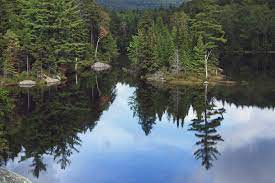 (b) the purpose of this subchapter is to designate certain national forest system lands in the state of vermont as the robert t. Robert T Stafford White Rocks National Recreation Area Wikipedia