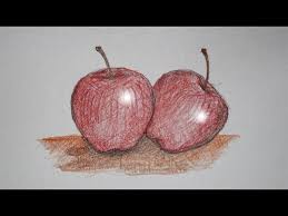 Gambar buah apel sketsa a photo on flickriver sketsa buah jeruk auto kfz info gambar mewarnai buah apel cocok untuk tk dan paud Cara Menggambar Buah Apel Untuk Anak Anak Youtube