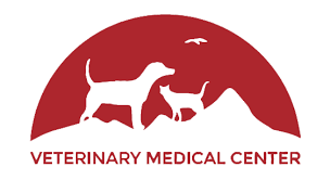 City pets vet is your local veterinarian in portland serving all of your needs. Home Veterinarian In Johnson City Tn Veterinary Medical Center