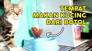 Apakah anda mencari gambar desain selamat ulang tahun kucing template psd atau file vektor? Canggih Membuat Tempat Makan Kucing Yang Dapat Terisi Otomatis Jika Tel Makanan Kucing Makanan Kucing