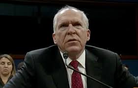 Gabbard fires staffers who politicized intelligence