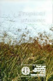 Image result for Anthephora pungens