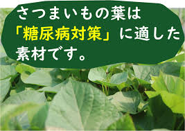 さつまいもの葉 濃縮カプセルタイプ ひなた食品宮崎支店