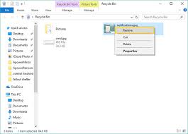 Minitool software will show you the answers in this post. 2021 Top 4 Ways To Recover Deleted Photos From Computer