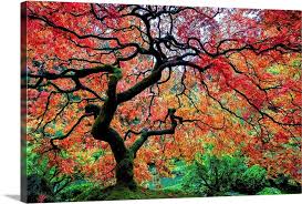 Filter by category filter by month & year. Fall Color At The Portland Japanese Garden Wall Art Canvas Prints Framed Prints Wall Peels Great Big Canvas