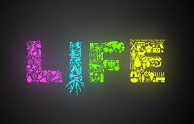 wallpaper color life the inscription minimalism drawings figure minimalism life the word images for desktop section minimalizm download wallpaper color life the inscription