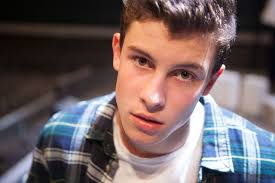 64 Shawn medes ideas