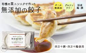 有機葉ニンニクと四万十豚で作った最高級餃子 4パック4人前 完全無添加 高知県須崎市 ふるさと納税 ふるさとチョイス