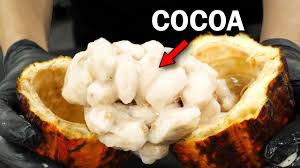 Making chocolate from scratch to feed an addiction - YouTube