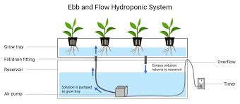 Let's add a nice middle ground to the mix. Hydroponic System Basics The Ultimate Guide For 2021