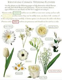 .buttercream flower on cakes, these days fresh flowers, due to their unfussy and colorful qualities, are blooming on cakes for birthdays, holidays, weddings which is why the natural touch of edible flowers fits. Safely Decorating Cakes With Fresh Flowers Shani S Sweet Art