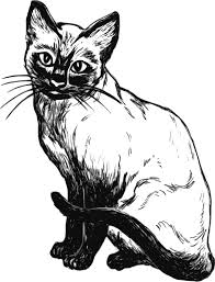 Free Siamese Cat Cat Posters Animal Icon Cat Drawing