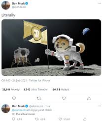 Elon musk supports dogecoin (twitter.com). New Share For Dogecoin From Elon Musk This Time He Planted A Flag On The Moon The Right Address For Financial News