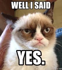 Well I Said Yes Mr Angry Cat Meme Generator