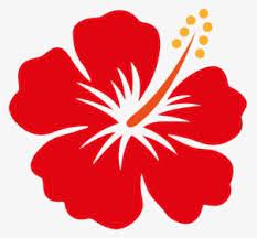 Penggunaan bunga raya sebagai lambang kemegahan. Hibiscus Vector Png Bunga Raya Malaysia Png Transparent Png Kindpng