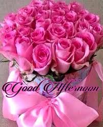 These good afternoon flowers images can also be sent on whatsapp and facebook. Good Afternoon Apps Bei Google Play