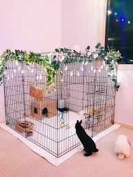 Check Out My New Set Up Indoor Rabbit Animal Room Bunny Room