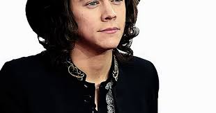 Harry Styles Breaks Silence Over Possible 1D Reunion