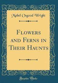 Check spelling or type a new query. Flowers And Ferns In Their Haunts By Mabel Osgood Wright