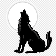 Bebas untuk kegiatan komersial & pribadi. Gray Wolf Drawing Demon Anime Black Shading Mammal Carnivoran Dog Like Mammal Png Pngwing