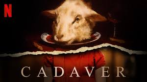 A cadaver wakes up to say a last goodbye to his wife, but discovers a truth in death that he didn't know in life. Is Cadaver Aka Kadaver On Netflix Where To Watch The Movie New On Netflix Usa