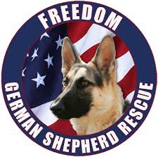 6 year old texas was rescued from a high kill shelter by a family of animal lovers. Home