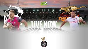The hosts can move back to the top of the currie cup premier division standings against heavyweights wp. Recap Pumas V Cheetahs Rugby365