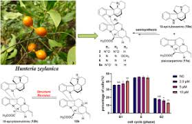 Image result for Hunteria zeylanica