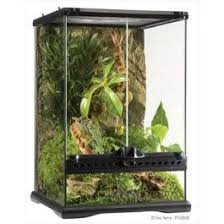 Exo Terra Glass Terrarium 18x18x24 Josh S Frogs In 2020 Reptile Terrarium Terrarium Rainforest Habitat