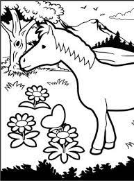 Includes images of baby animals, flowers, rain showers, and more. Coloring Packs Quivervision 3d Augmented Reality Coloring Apps 3d Boyama 3d Sanat Sanat