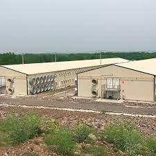 We did not find results for: Control Shed Poultry Farm Photo Images Pictures On Alibaba