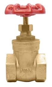 1" Brass Gate Valve - 200WOG, FxF NPT: Industrial Ball ...