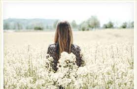 That's why we compiled a list of 42 hilarious flower instagram captions to help you knock your posts out of the park! 80 Quotes About Flowers To Freshen Your Day Proflowers Blog