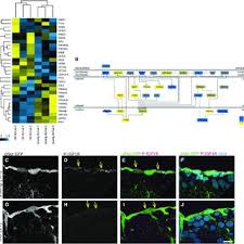 We did not find results for: Jovica Ninkovic S Research Works Ludwig Maximilians University Of Munich Munich Lmu And Other Places