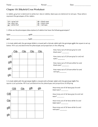 Chapter 10 dihybrid cross worksheet answers. Dihybrid Cross Worksheet