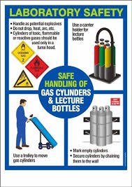 Safe Handling Of Gas Cylinders Lecture Bottles Health And Safety Poster Workplace Safety And Health Chemical Safety