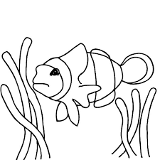 Pack these spring printables into a picnic basket for a family outing. Finding Nemo Clown Fish Coloring Pages Best Place To Color