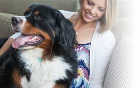 It's not easy for a pet parent to refuse the treatment their pet needs because of cost. Pet Insurance Costco