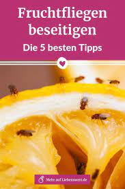 pin auf die besten haushaltstipps