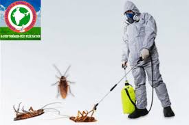 The basics of pest control. Home Spray Pest Control For Cockroaches Rashtriya Chemical Herbal Pest Control Service Id 22994906255