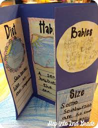 Step Into 2nd Grade With Mrs Lemons Animal Reports First Grade Writing 2nd Grade Writing Second Grade Science