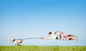 Il tuo cane tira sempre al guinzaglio?