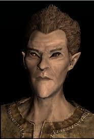 Like many eye mods jenna reassigned the eyes of the dumner (dark elf), bosmer (wood elf) and altmer (high elf) to have a lot more variety rather then sticking so closely to a single color scheme like in vanilla skyrim. Favorite Race Go Mine Is Wood Elf 75450843 Added By Falloutreaper At I Hate Her