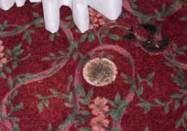 It has a great moisturizing effect and strengthens the burnt hair by penetrating the hair shaft and preserving moisture. Carpet Iron Burn Repairs In Vancouver Call 604 581 3480
