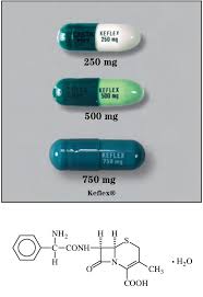 Image result for Cephalexin