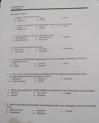 Iso (international organization for standarization). Seni Budaya Brainly