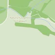Die telefonnummer für dolberg immobilien immobilienmakler hamburg rahlstedt ist 040 660000. Dolberg Immobilien