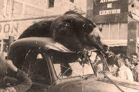 Cluff at colonia garcia, chihuahua in 1899. El Oso Plateado Ethan Linck The Hypocrite Reader